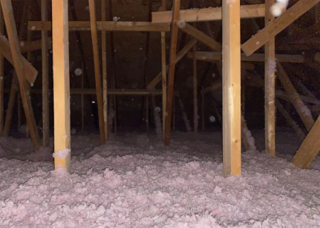 How to Prevent Attic Mold in Your Toronto Home