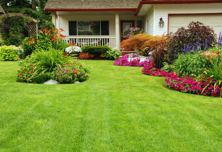 How Lawn Maintenance Services Can Improve Your Home’s Curb Appeal
