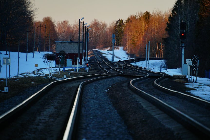 track caller 9545077462